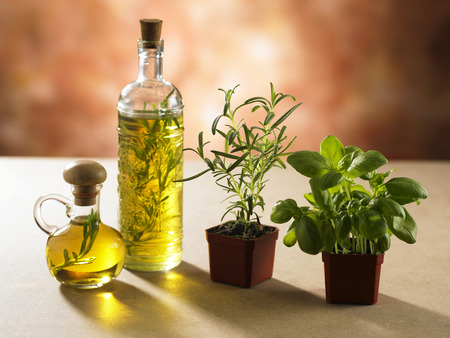 stock image of the olive oil and herb plantの写真素材
