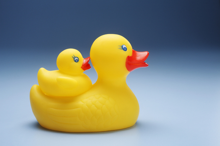 Rubber yellow duck isolated on coloured background.の写真素材