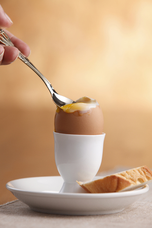 spoon on the boiled eggの写真素材