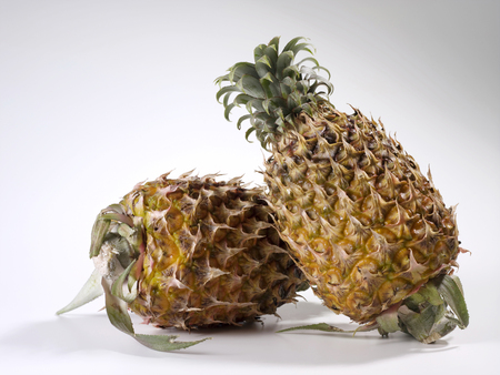 fresh pineapple fruits with green leaves isolated on plain backgroundの写真素材