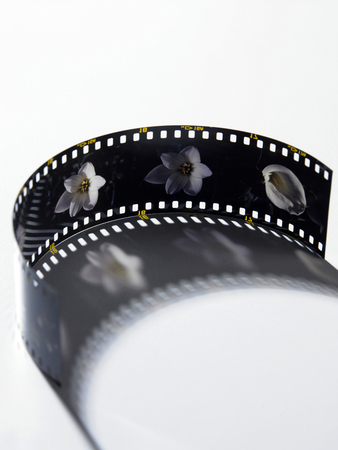 Film isolated on white background.の写真素材