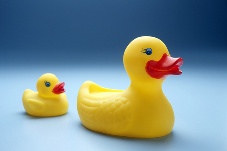 Rubber yellow duck isolated on coloured background.の写真素材