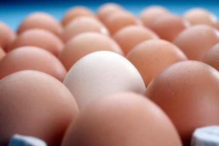 white egg stand out from others