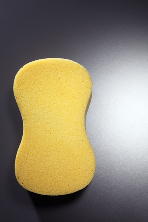 stock image of the spongeの写真素材
