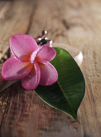 frangipani flower with green leafの写真素材