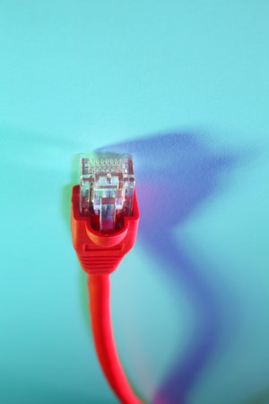 close up of the network cable