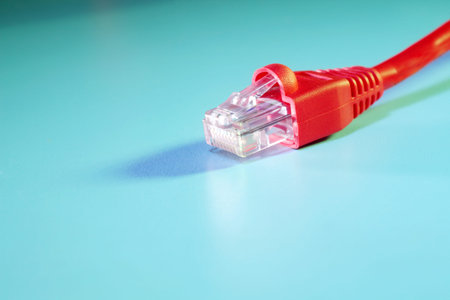 close up of the network cable