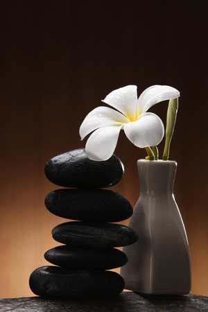 Lastones for massage therapyの写真素材