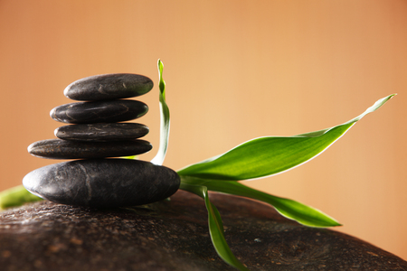 stack of the stone and bamboo leafの写真素材