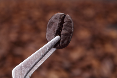 special selected coffee beanの写真素材