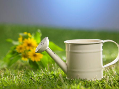 close up of the watering can on the grassの写真素材