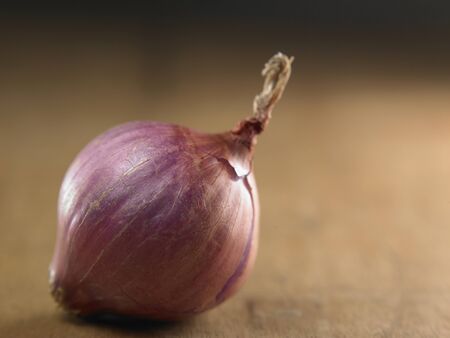 close up of the onionの写真素材