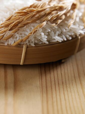 close up of the white rice and paddyの写真素材