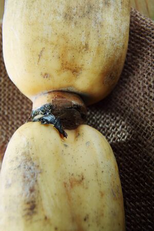 close up of the joint of lotus rootの写真素材