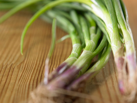 close up of the spring onion