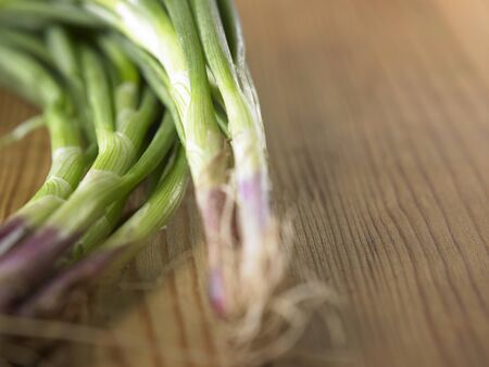 close up of the spring onionの写真素材