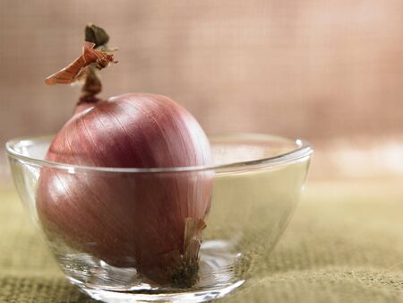 close up of the onion in a glass bowlの写真素材