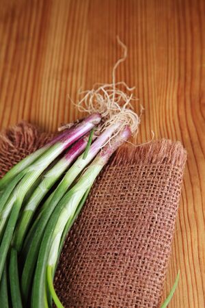 spring onion on the sackclothの写真素材