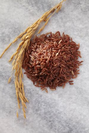 top view of the brown rice and the paddyの写真素材