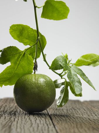 Close up of passion fruit on the vineの写真素材