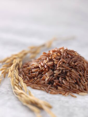 close up of the brown rice and paddyの写真素材