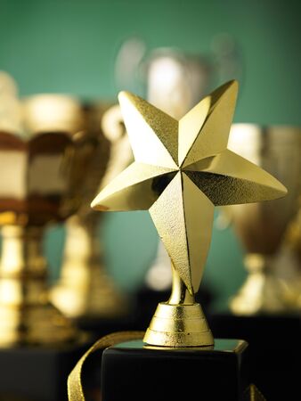 star trophy standing out from othersの写真素材