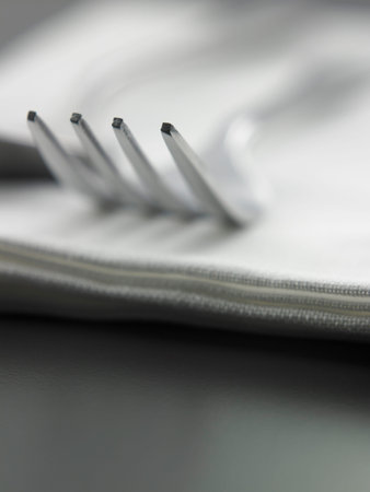 close up of the fork on the napkin