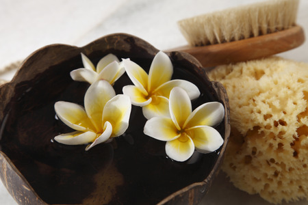 top view of frangipani flower ,sponge and brushの写真素材