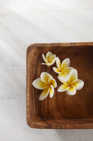 yellow frangipani flower in a square wooden bowlの写真素材