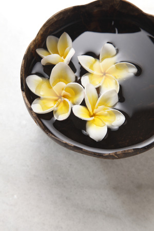 frangipani flower in the coconut shellの写真素材
