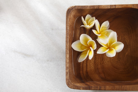 yellow frangipani flower in a square wooden bowlの写真素材