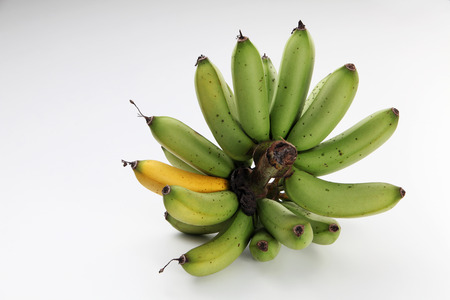 organic banana ripe from the treeの写真素材