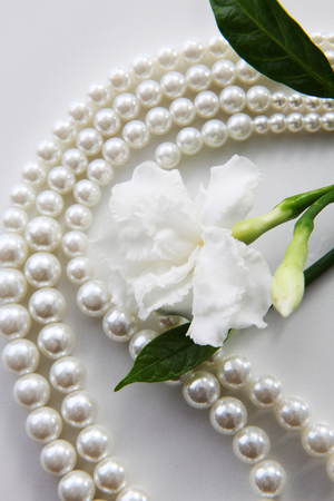 jasmine flowers and pearl necklaceの写真素材