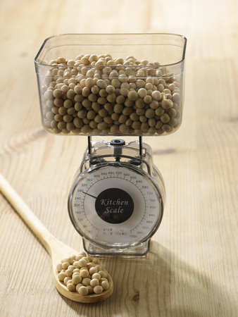 weighing the amount of soy beansの写真素材