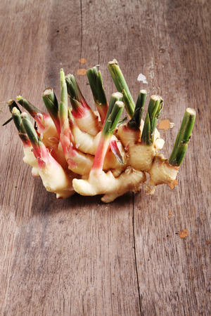 ginger root with the greens still attached.の写真素材