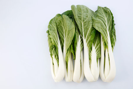 pak choy (chinese cabbage) isolated on whiteの写真素材