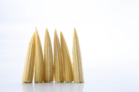 Baby corn on a white background, close-upの写真素材