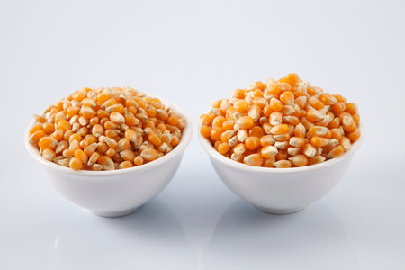 compare maize corn of different grade