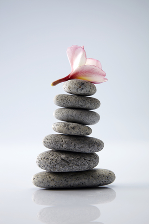Frangipani flower on stones, isolated on white backgroundの写真素材