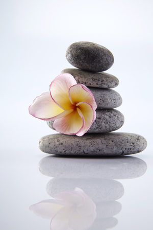Frangipani flower on stones, isolated on white backgroundの写真素材