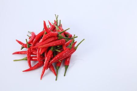red chili or chili padi on the white backgroundの写真素材