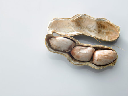 peanut isolated on white background