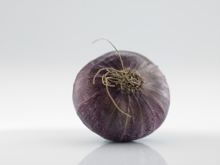 onion on the white backgroundの写真素材