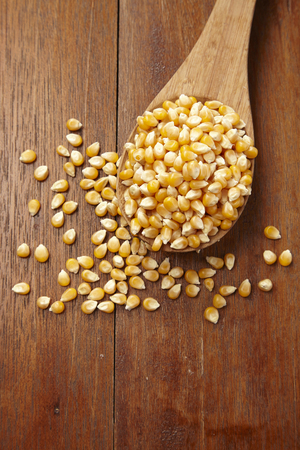spoon of the maize cornの写真素材