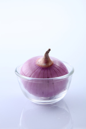 onion on the white backgroundの写真素材