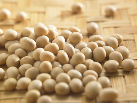 close of the soy beansの写真素材