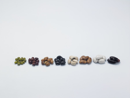 assorted beans arranged in a rowの写真素材