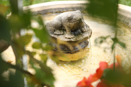 garden with flower and frog shaped water feature