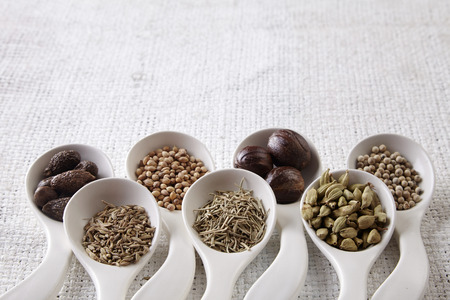 white spoon with curve fill up with spicesの写真素材