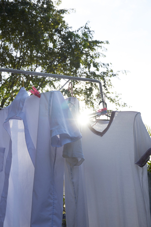 White t-shirt hanging on outdoorの写真素材